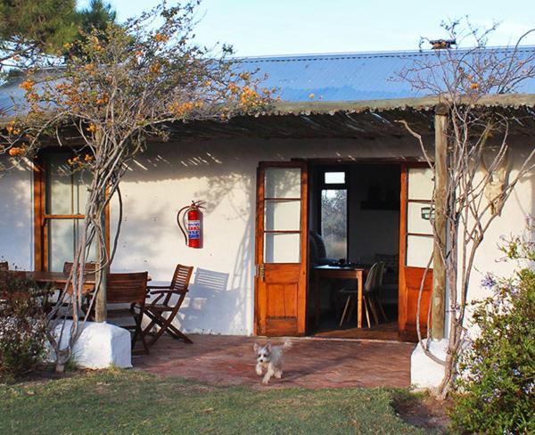 Bed and Breakfast !Khwa Ttu Swartwater Экстерьер фото